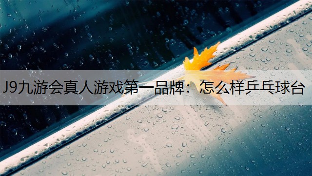 怎么樣乒乓球臺(tái)